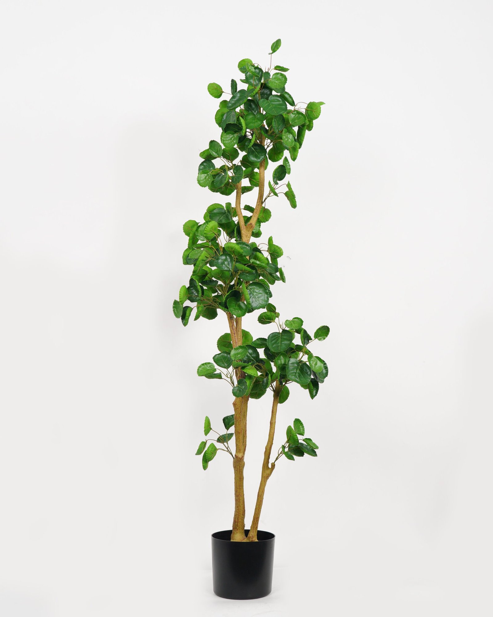 Artificial-Tree-Green-leaf-2-in-PP-pot-GS-69423028_4-1.jpg Artificial Tree 50*40*149cm Green leaf *2 in PP pot GS-69423028 Tree&Plant YeahFlower is one of Chinese leading OEM manufacturers and exporters , supplying the silk flowers, wholesale artificial trees