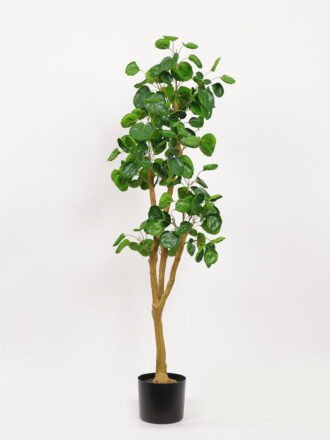 Artificial Tree 50*40*149cm Green leaf *2 in PP pot GS-69423028 Tree&Plant 3,000+ sqm showroom with thousands of artificial flowers, plants & trees ready for global sourcing.