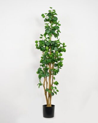 Artificial Tree 53*50*177cm Green leaf *4 in PP pot GS-69423029 Tree&Plant YeahFlower is one of Chinese leading OEM manufacturers and exporters , supplying the silk flowers, wholesale artificial trees