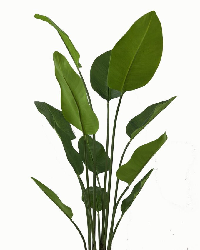 Artificial Tree 90*90*138cm Leaf in  PP pot/12 lvs GS-46723014 Tree&Plant YeahFlower is one of Chinese leading OEM manufacturers and exporters , supplying the silk flowers, wholesale artificial trees