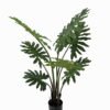 Artificial Tree 60*60*85cm  Leaf in PP pot/7 lvs GS-46723006 Tree&Plant YeahFlower is one of Chinese leading OEM manufacturers and exporters , supplying the silk flowers, wholesale artificial trees