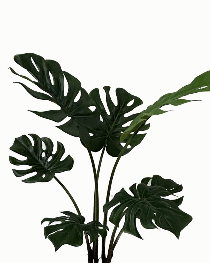 Artificial Tree Leaf in PP pot 7 lvs GS-46723009_2 Artificial Tree 70*70*89cm Leaf in PP pot/7 lvs GS-46723009 Tree&Plant YeahFlower is one of Chinese leading OEM manufacturers and exporters , supplying the silk flowers, wholesale artificial trees