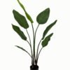 Artificial Tree 66*66*103cm Leaf in  PP pot/7 lvs GS-46723012 Tree&Plant YeahFlower is one of Chinese leading OEM manufacturers and exporters , supplying the silk flowers, wholesale artificial trees