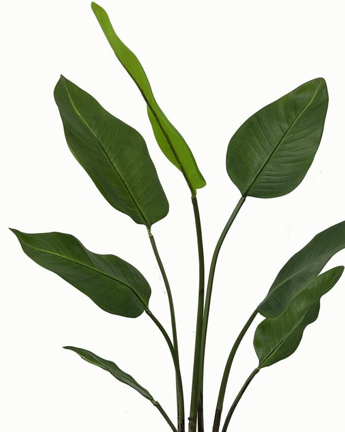 Artificial Tree 66*66*103cm Leaf in  PP pot/7 lvs GS-46723012 Tree&Plant YeahFlower is one of Chinese leading OEM manufacturers and exporters , supplying the silk flowers, wholesale artificial trees