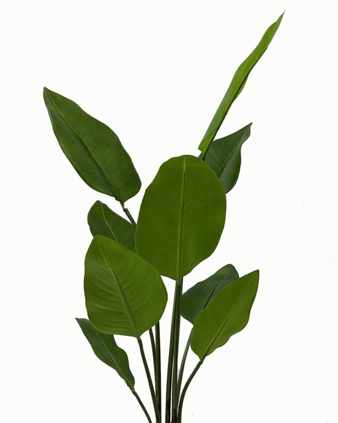 Artificial Tree 73*73*123cm Leaf in  PP pot/9 lvs GS-46723013 Tree&Plant YeahFlower is one of Chinese leading OEM manufacturers and exporters , supplying the silk flowers, wholesale artificial trees