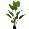 Artificial Tree 73*73*123cm Leaf in  PP pot/9 lvs GS-46723013 Tree&Plant YeahFlower is one of Chinese leading OEM manufacturers and exporters , supplying the silk flowers, wholesale artificial trees