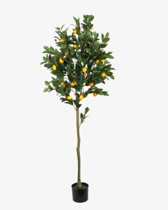 Artificial Tree 55*55*160cm Lemon Tree *3 in PP pot/lvs 594 GS-30423033KD Tree&Plant YeahFlower is one of Chinese leading OEM manufacturers and exporters , supplying the silk flowers, wholesale artificial trees Artificial Tree 55*55*160cm Lemon Tree *3 in PP pot/lvs 594 GS-30423033KD Tree&Plant YeahFlower is one of Chinese leading OEM manufacturers and exporters , supplying the silk flowers, wholesale artificial trees