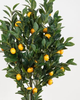 Artificial Tree 55*55*160cm Lemon Tree *3 in PP pot/lvs 594 GS-30423033KD Tree&Plant YeahFlower is one of Chinese leading OEM manufacturers and exporters , supplying the silk flowers, wholesale artificial trees Artificial Tree 55*55*160cm Lemon Tree *3 in PP pot/lvs 594 GS-30423033KD Tree&Plant YeahFlower is one of Chinese leading OEM manufacturers and exporters , supplying the silk flowers, wholesale artificial trees