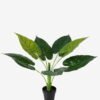 Artificial Tree Monstera in PP pot 7 lvs GS-59523015KIK_1 Artificial Tree 52*52*66cm Monstera in PP pot/7 lvs GS-59523015KIK Tree&Plant YeahFlower is one of Chinese leading OEM manufacturers and exporters , supplying the silk flowers, wholesale artificial trees