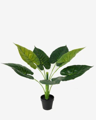Artificial Tree 52*52*66cm Monstera in PP pot/7 lvs GS-59523015KIK Tree&Plant YeahFlower is one of Chinese leading OEM manufacturers and exporters , supplying the silk flowers, wholesale artificial trees Artificial Tree 52*52*66cm Monstera in PP pot/7 lvs GS-59523015KIK Tree&Plant YeahFlower is one of Chinese leading OEM manufacturers and exporters , supplying the silk flowers, wholesale artificial trees