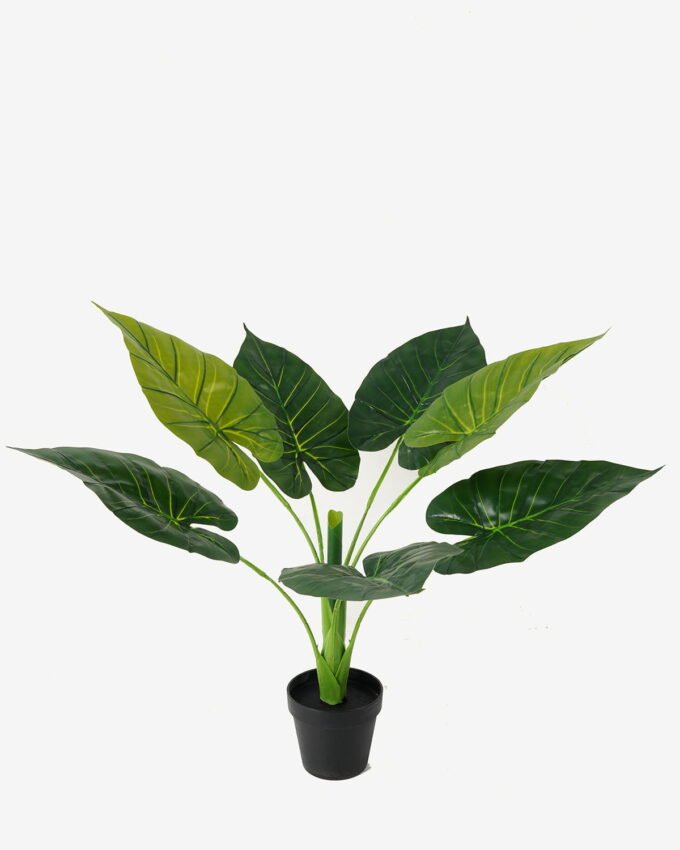 Artificial Tree Monstera in PP pot 7 lvs GS-59523015KIK_1 Artificial Tree 52*52*66cm Monstera in PP pot/7 lvs GS-59523015KIK Tree&Plant YeahFlower is one of Chinese leading OEM manufacturers and exporters , supplying the silk flowers, wholesale artificial trees