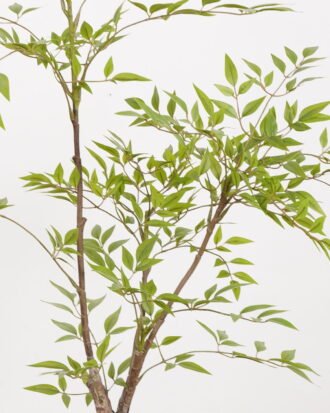 Artificial Tree 63*53*130cm Nandina in PP pot GS-61923024 Tree&Plant YeahFlower is one of Chinese leading OEM manufacturers and exporters , supplying the silk flowers, wholesale artificial trees