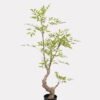 Artificial Tree 63*53*130cm Nandina in PP pot GS-61923024 Tree&Plant YeahFlower is one of Chinese leading OEM manufacturers and exporters , supplying the silk flowers, wholesale artificial trees
