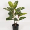 Artificial Tree Oak leaf 2 in PP pot GS-69423032_9 Artificial Tree 46*43*57cm Oak leaf *2 in PP pot GS-69423032 Tree&Plant YeahFlower is one of Chinese leading OEM manufacturers and exporters , supplying the silk flowers, wholesale artificial trees