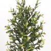 Artificial Tree 48*48*130cm Olive Tree *2 in PP pot/lvs 810 GS-30423032 Tree&Plant YeahFlower is one of Chinese leading OEM manufacturers and exporters , supplying the silk flowers, wholesale artificial trees