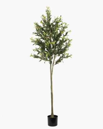 Artificial Tree 60*60*180cm Olive Tree *3 in PP pot/lvs 1080 GS-30423031KD Tree&Plant YeahFlower is one of Chinese leading OEM manufacturers and exporters , supplying the silk flowers, wholesale artificial trees Artificial Tree 60*60*180cm Olive Tree *3 in PP pot/lvs 1080 GS-30423031KD Tree&Plant YeahFlower is one of Chinese leading OEM manufacturers and exporters , supplying the silk flowers, wholesale artificial trees