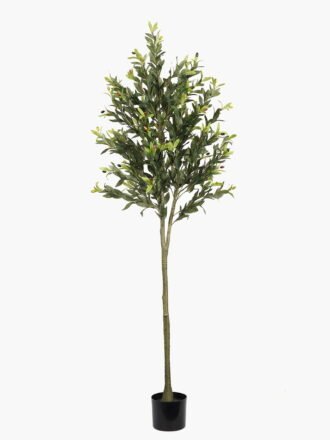 Artificial Tree 56cm Plant in PP pot GS-61923043 Tree&Plant 3,000+ sqm showroom with thousands of artificial flowers, plants & trees ready for global sourcing.