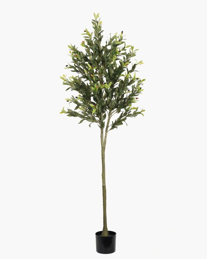 Artificial Tree 60*60*180cm Olive Tree *3 in PP pot/lvs 1080 GS-30423031KD Tree&Plant YeahFlower is one of Chinese leading OEM manufacturers and exporters , supplying the silk flowers, wholesale artificial trees