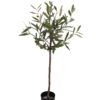 Artificial Tree Olive Tree in PP pot GS-59523030_8 Artificial Tree 43*43*90cm Olive Tree in PP pot GS-59523030 Tree&Plant YeahFlower is one of Chinese leading OEM manufacturers and exporters , supplying the silk flowers, wholesale artificial trees