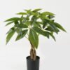 Artificial Tree Pachira macrocarpa 4 in PP pot GS-69423007 Artificial Tree 37*37*42cm Pachira macrocarpa *4 in PP pot GS-69423007 Tree&Plant YeahFlower is one of Chinese leading OEM manufacturers and exporters , supplying the silk flowers, wholesale artificial trees