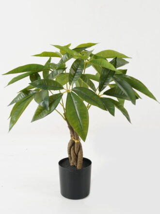 Artificial Tree 38*38*87cm Polyscias in PP pot GS-69423006 Tree&Plant 3,000+ sqm showroom with thousands of artificial flowers, plants & trees ready for global sourcing.