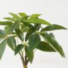 Artificial Tree Pachira macrocarpa 4 in PP pot GS-69423007_1 Artificial Tree 37*37*42cm Pachira macrocarpa *4 in PP pot GS-69423007 Tree&Plant YeahFlower is one of Chinese leading OEM manufacturers and exporters , supplying the silk flowers, wholesale artificial trees