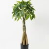 Artificial-Tree-Pachira-macrocarpa-4-in-PP-pot-GS-69423009_5-1.jpg Artificial Tree 46*46*90cm Pachira macrocarpa *4 in PP pot GS-69423009 Tree&Plant YeahFlower is one of Chinese leading OEM manufacturers and exporters , supplying the silk flowers, wholesale artificial trees