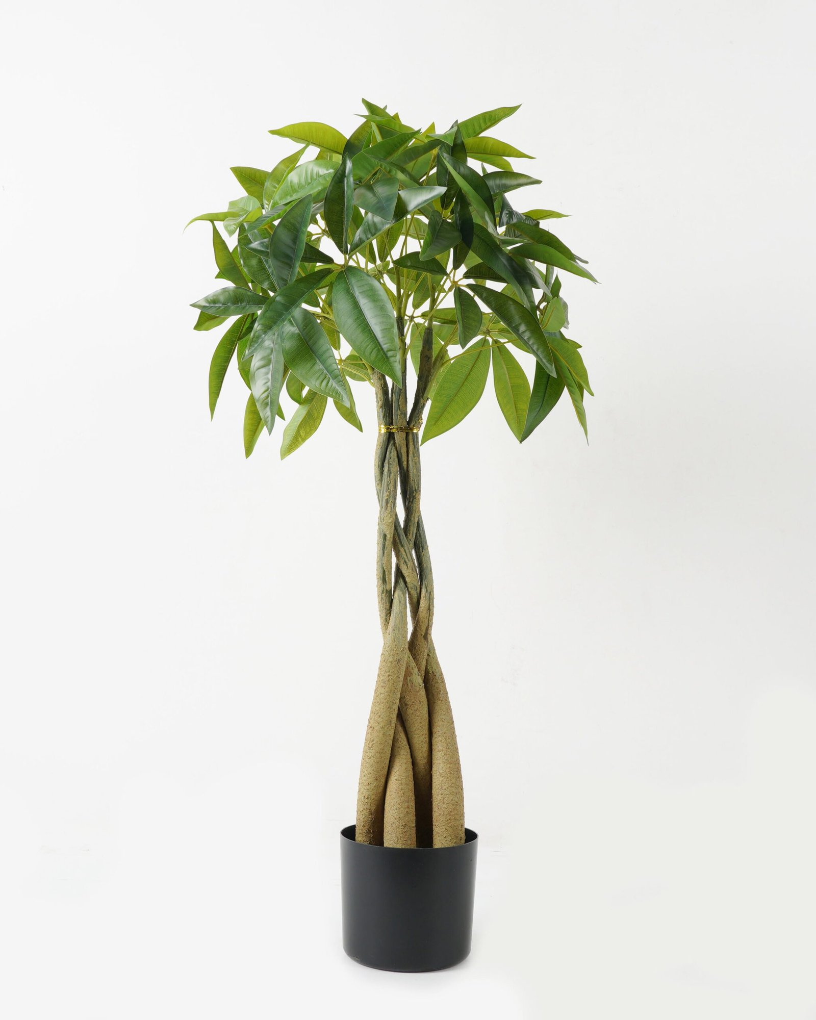 Artificial-Tree-Pachira-macrocarpa-4-in-PP-pot-GS-69423009_5-1.jpg Artificial Tree 46*46*90cm Pachira macrocarpa *4 in PP pot GS-69423009 Tree&Plant YeahFlower is one of Chinese leading OEM manufacturers and exporters , supplying the silk flowers, wholesale artificial trees