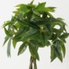 Artificial Tree Pachira macrocarpa 4 in PP pot GS-69423009_9 Artificial Tree 46*46*90cm Pachira macrocarpa *4 in PP pot GS-69423009 Tree&Plant YeahFlower is one of Chinese leading OEM manufacturers and exporters , supplying the silk flowers, wholesale artificial trees