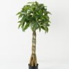 Artificial Tree Pachira macrocarpa 4 in PP pot GS-69423010_2 Artificial Tree 60*60*120cm Pachira macrocarpa *4 in PP pot GS-69423010 Tree&Plant YeahFlower is one of Chinese leading OEM manufacturers and exporters , supplying the silk flowers, wholesale artificial trees