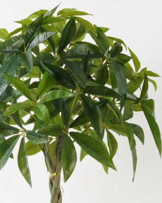 Artificial Tree 60*60*120cm Pachira macrocarpa *4 in PP pot GS-69423010 Tree&Plant YeahFlower is one of Chinese leading OEM manufacturers and exporters , supplying the silk flowers, wholesale artificial trees