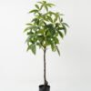 Artificial Tree 50*50*115cm Pachira macrocarpa in PP pot GS-69423011 Tree&Plant YeahFlower is one of Chinese leading OEM manufacturers and exporters , supplying the silk flowers, wholesale artificial trees