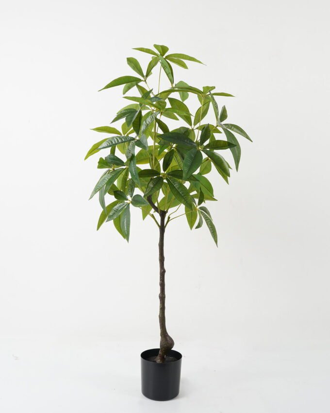 Artificial Tree 50*50*115cm Pachira macrocarpa in PP pot GS-69423011 Tree&Plant YeahFlower is one of Chinese leading OEM manufacturers and exporters , supplying the silk flowers, wholesale artificial trees