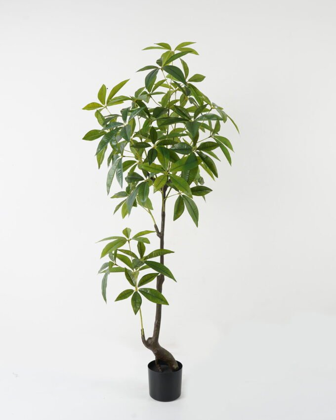 Artificial Tree 55*55*150cm Pachira macrocarpa in PP pot GS-69423012 Tree&Plant YeahFlower is one of Chinese leading OEM manufacturers and exporters , supplying the silk flowers, wholesale artificial trees
