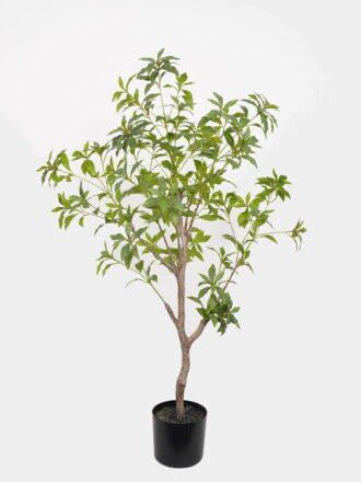 Artificial Tree 65*45*90cm Dracaena reflexa *2 in PP pot GS-61923023 Tree&Plant 3,000+ sqm showroom with thousands of artificial flowers, plants & trees ready for global sourcing.