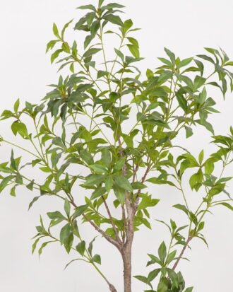 Artificial Tree 80*80*126cm Plant in PP pot GS-61923022 Tree&Plant YeahFlower is one of Chinese leading OEM manufacturers and exporters , supplying the silk flowers, wholesale artificial trees