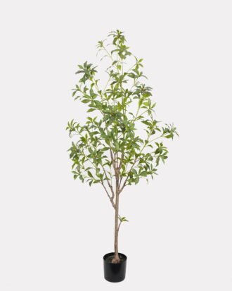 Artificial Tree 66*66*170cm Plant in PP pot GS-61923027 Tree&Plant YeahFlower is one of Chinese leading OEM manufacturers and exporters , supplying the silk flowers, wholesale artificial trees