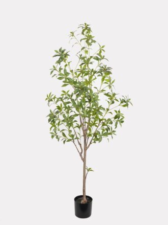 Artificial Tree 60*60*140cm Dracaena reflexa *3 in PP pot GS-61923026 Tree&Plant 3,000+ sqm showroom with thousands of artificial flowers, plants & trees ready for global sourcing.
