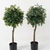 Artificial Tree Polyscias in PP pot GS-69423005_1 Artificial Tree 38*38*87cm Polyscias in PP pot GS-69423005 Tree&Plant YeahFlower is one of Chinese leading OEM manufacturers and exporters , supplying the silk flowers, wholesale artificial trees