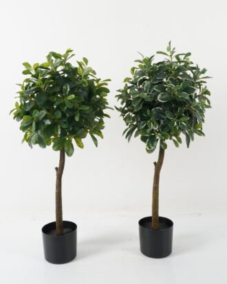 Artificial Tree 38*38*87cm Polyscias in PP pot GS-69423005 Tree&Plant YeahFlower is one of Chinese leading OEM manufacturers and exporters , supplying the silk flowers, wholesale artificial trees