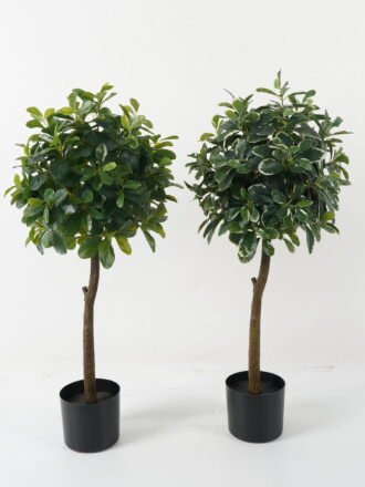Artificial Tree 38*38*87cm Polyscias in PP pot GS-69423006 Tree&Plant 3,000+ sqm showroom with thousands of artificial flowers, plants & trees ready for global sourcing.