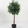 Artificial Tree Polyscias in PP pot GS-69423005_5 Artificial Tree 38*38*87cm Polyscias in PP pot GS-69423005 Tree&Plant YeahFlower is one of Chinese leading OEM manufacturers and exporters , supplying the silk flowers, wholesale artificial trees