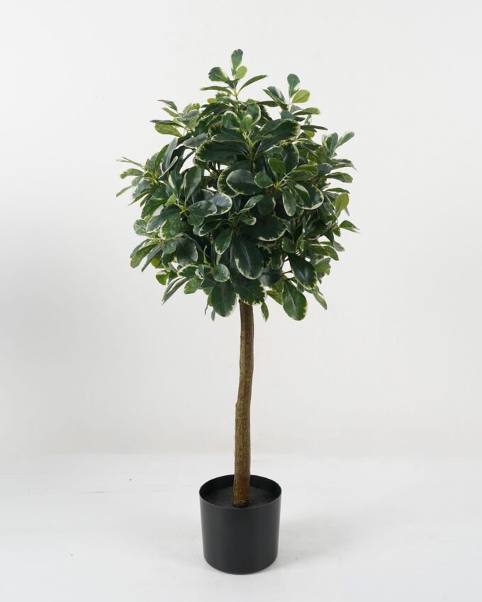 Artificial Tree Polyscias in PP pot GS-69423005_5 Artificial Tree 38*38*87cm Polyscias in PP pot GS-69423005 Tree&Plant YeahFlower is one of Chinese leading OEM manufacturers and exporters , supplying the silk flowers, wholesale artificial trees