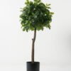 Artificial Tree Polyscias in PP pot GS-69423006 Artificial Tree 38*38*87cm Polyscias in PP pot GS-69423006 Tree&Plant YeahFlower is one of Chinese leading OEM manufacturers and exporters , supplying the silk flowers, wholesale artificial trees