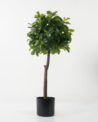 Artificial Tree 38*38*87cm Polyscias in PP pot GS-69423006 Tree&Plant YeahFlower is one of Chinese leading OEM manufacturers and exporters , supplying the silk flowers, wholesale artificial trees