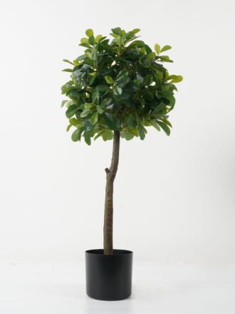 Artificial Tree 38*38*87cm Polyscias in PP pot GS-69423005 Tree&Plant 3,000+ sqm showroom with thousands of artificial flowers, plants & trees ready for global sourcing.