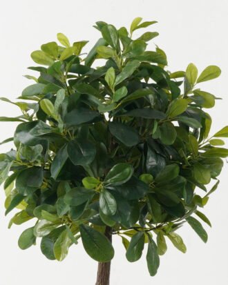 Artificial Tree 38*38*87cm Polyscias in PP pot GS-69423006 Tree&Plant YeahFlower is one of Chinese leading OEM manufacturers and exporters , supplying the silk flowers, wholesale artificial trees