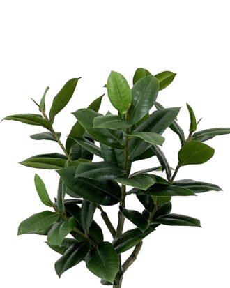 Artificial Tree 48*48*69cm Rubber tree in PP pot/60 lvs GS-46723004 Tree&Plant YeahFlower is one of Chinese leading OEM manufacturers and exporters , supplying the silk flowers, wholesale artificial trees Artificial Tree 48*48*69cm Rubber tree in PP pot/60 lvs GS-46723004 Tree&Plant YeahFlower is one of Chinese leading OEM manufacturers and exporters , supplying the silk flowers, wholesale artificial trees