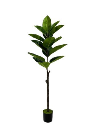 Artificial Tree 48*48*69cm Rubber tree in PP pot/60 lvs GS-46723004 Tree&Plant 3,000+ sqm showroom with thousands of artificial flowers, plants & trees ready for global sourcing.
