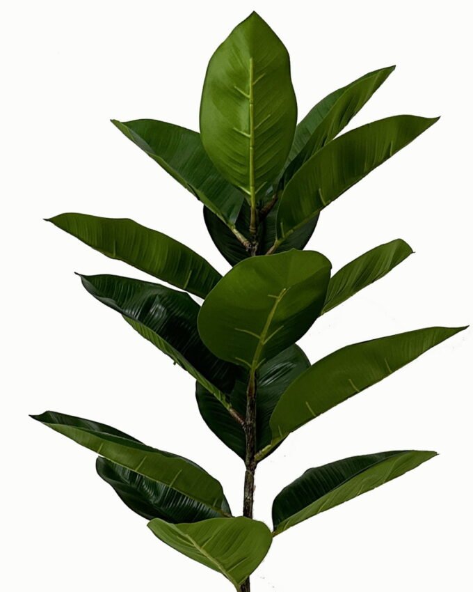 Artificial Tree 52*52*123cm Rubber tree in PP pot GS-46723003 Tree&Plant YeahFlower is one of Chinese leading OEM manufacturers and exporters , supplying the silk flowers, wholesale artificial trees